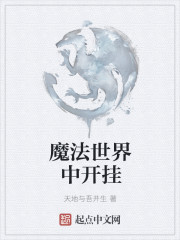 魔法世界中开挂