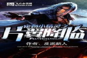 宠物小精灵之片翼降临