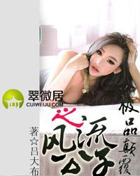 极品颠覆之风流公子