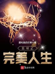篮球之完美人生
