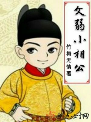 文弱小相公