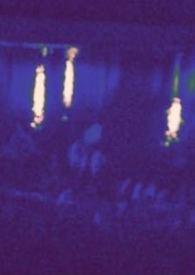 热狗与黑胶（姐狗）