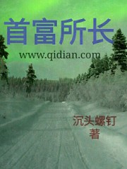 首富所长