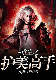重生之护美高手