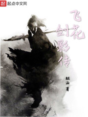 飞花剑影传